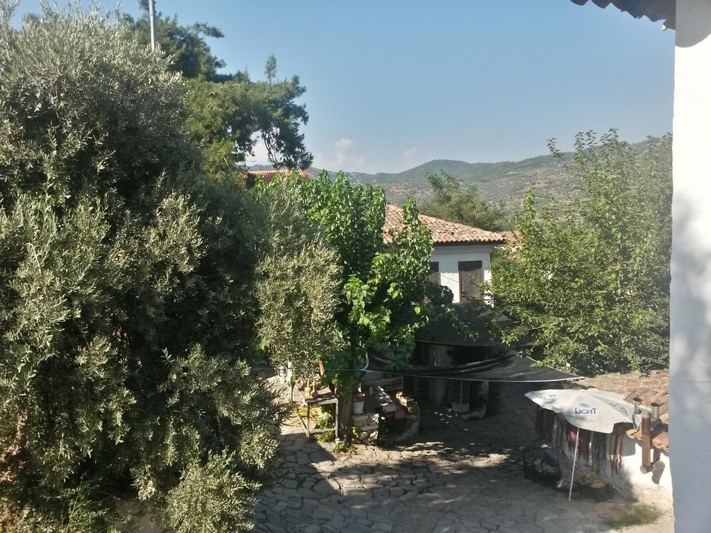 Zeytinli Konak Guest House Selçuk Cameră foto